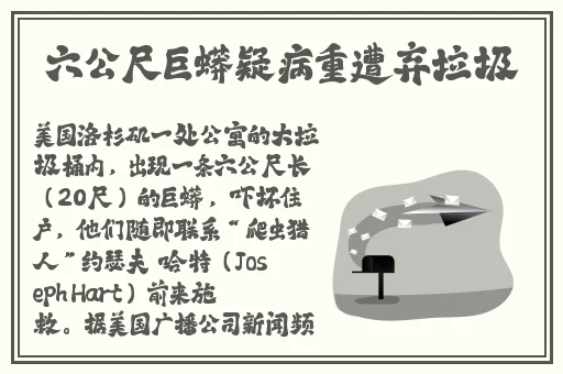 BBw与wB和老妇女